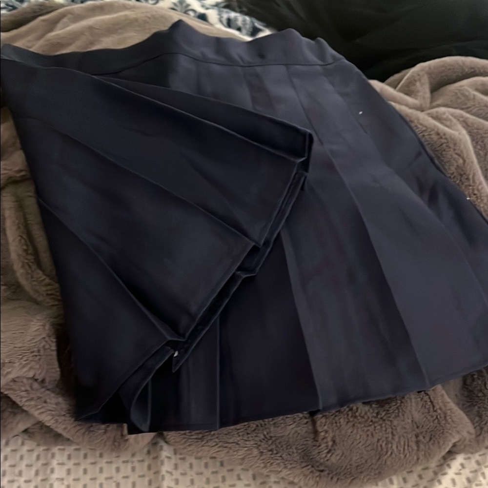 Cute Navy Pleated Skirt